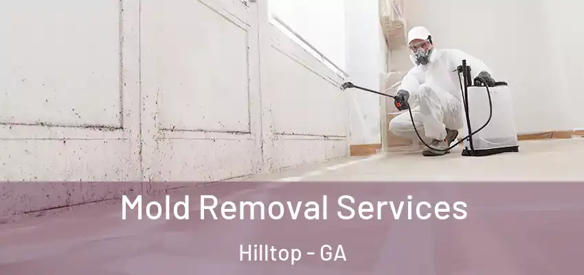 Mold Removal Services Hilltop - GA
