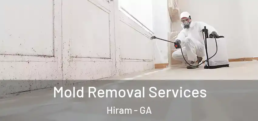Mold Removal Services Hiram - GA