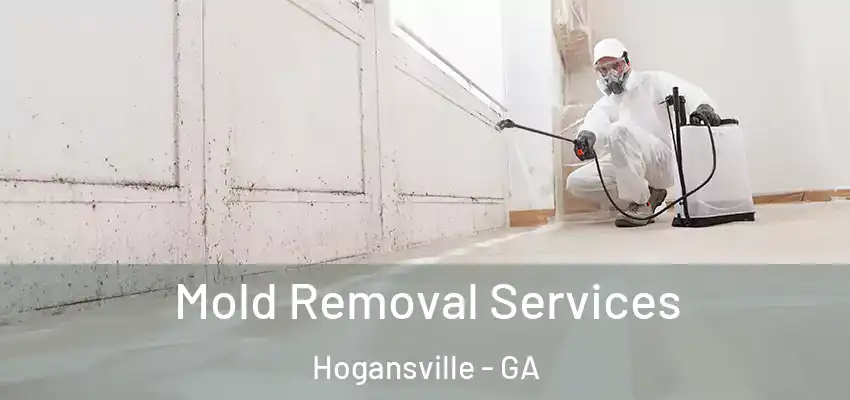 Mold Removal Services Hogansville - GA
