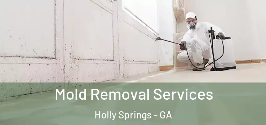 Mold Removal Services Holly Springs - GA