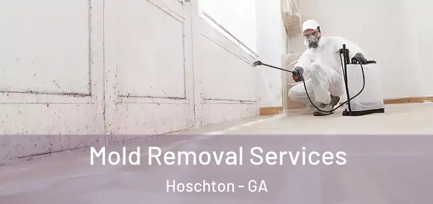 Mold Removal Services Hoschton - GA