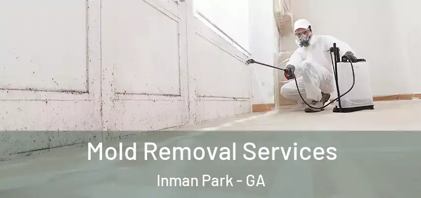 Mold Removal Services Inman Park - GA