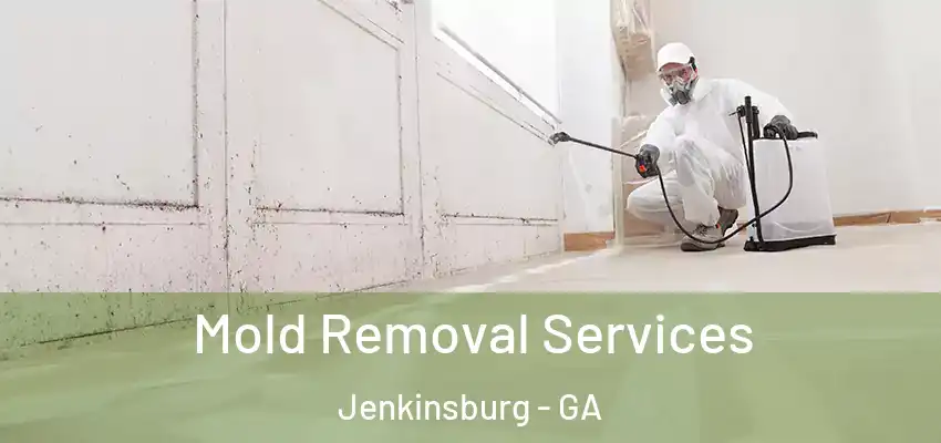 Mold Removal Services Jenkinsburg - GA