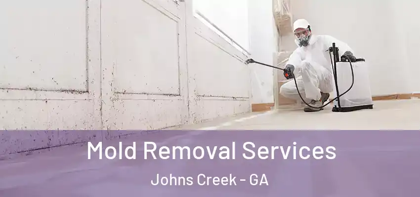 Mold Removal Services Johns Creek - GA