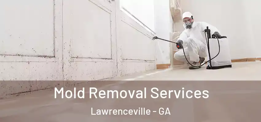  Mold Removal Services Lawrenceville - GA
