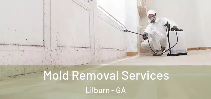 Mold Removal Services Lilburn - GA