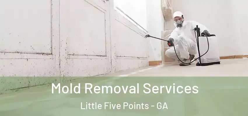 Mold Removal Services Little Five Points - GA