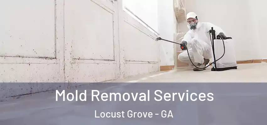 Mold Removal Services Locust Grove - GA
