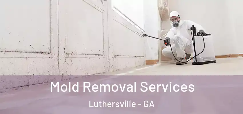 Mold Removal Services Luthersville - GA