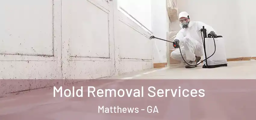 Mold Removal Services Matthews - GA