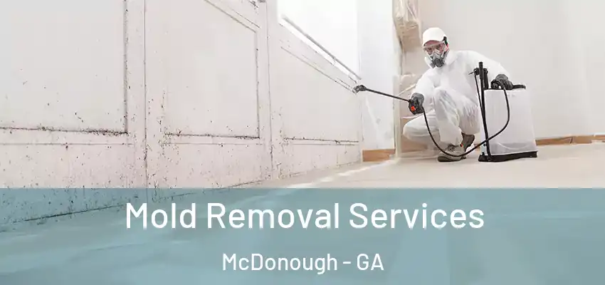 Mold Removal Services McDonough - GA