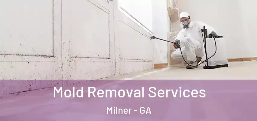 Mold Removal Services Milner - GA
