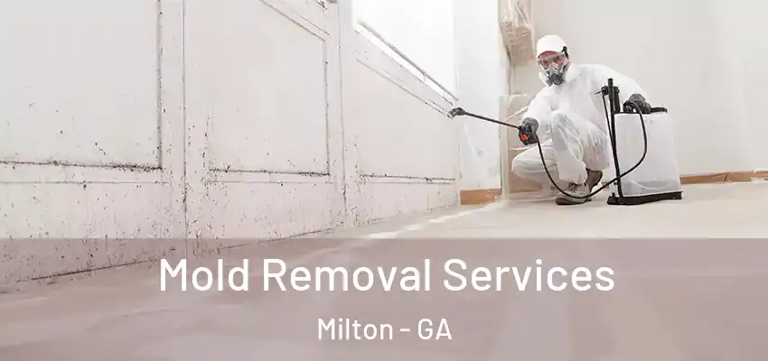 Mold Removal Services Milton - GA