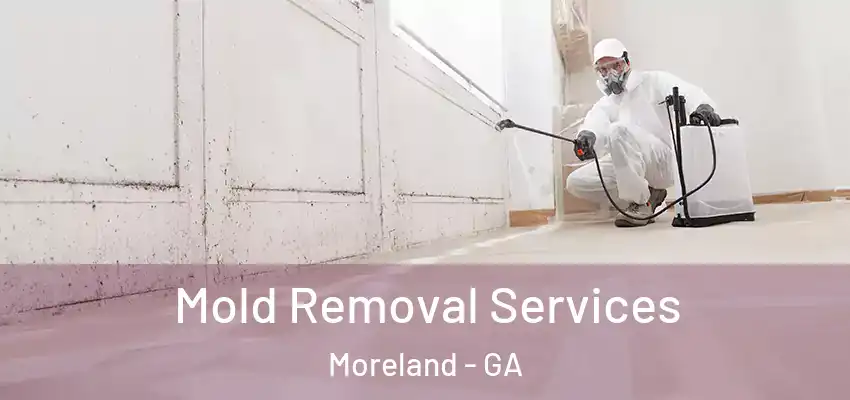 Mold Removal Services Moreland - GA