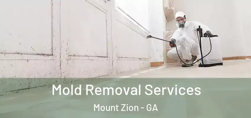 Mold Removal Services Mount Zion - GA