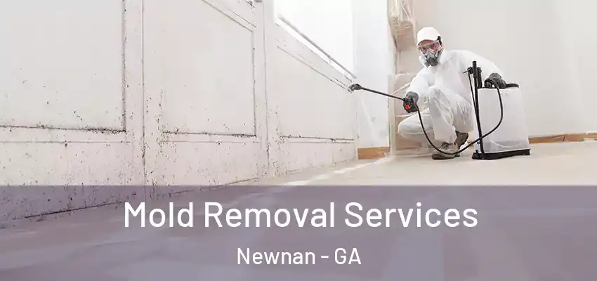  Mold Removal Services Newnan - GA