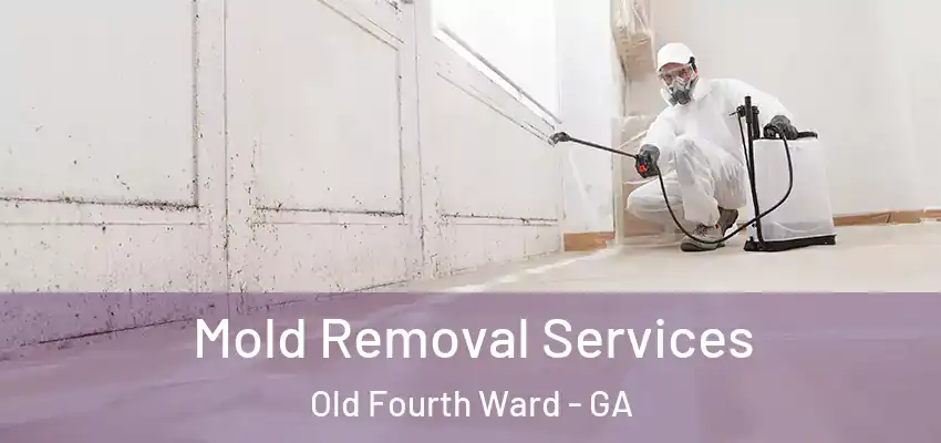 Mold Removal Services Old Fourth Ward - GA