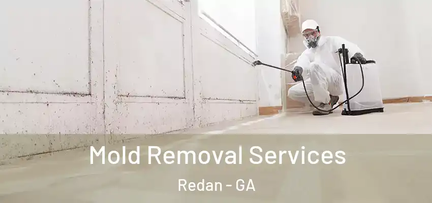 Mold Removal Services Redan - GA