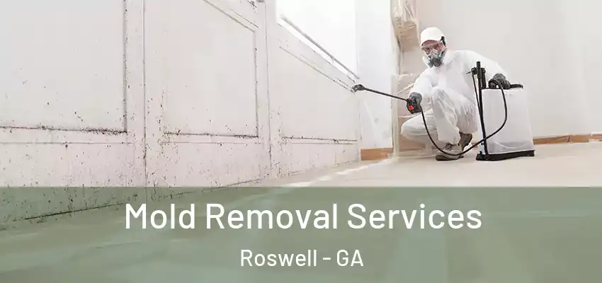 Mold Removal Services Roswell - GA
