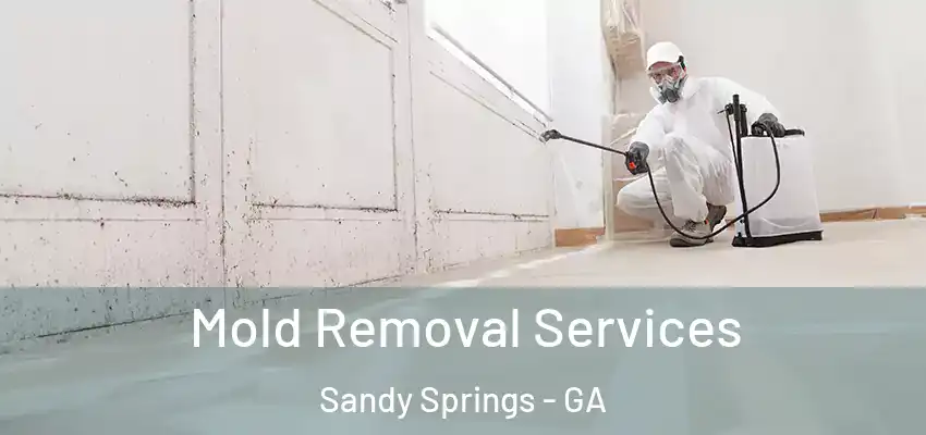 Mold Removal Services Sandy Springs - GA