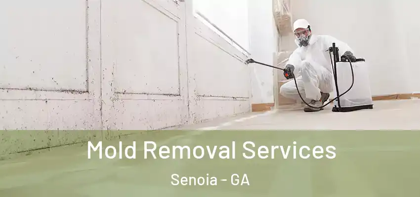 Mold Removal Services Senoia - GA