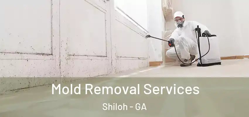 Mold Removal Services Shiloh - GA