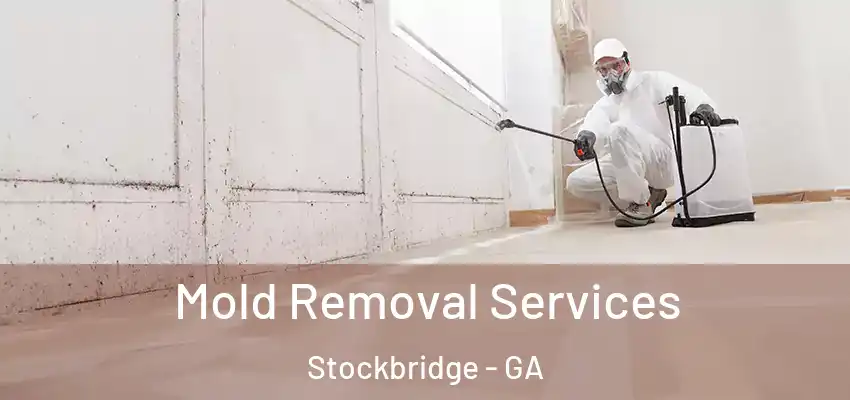  Mold Removal Services Stockbridge - GA