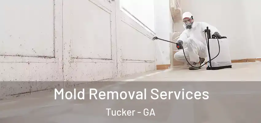 Mold Removal Services Tucker - GA