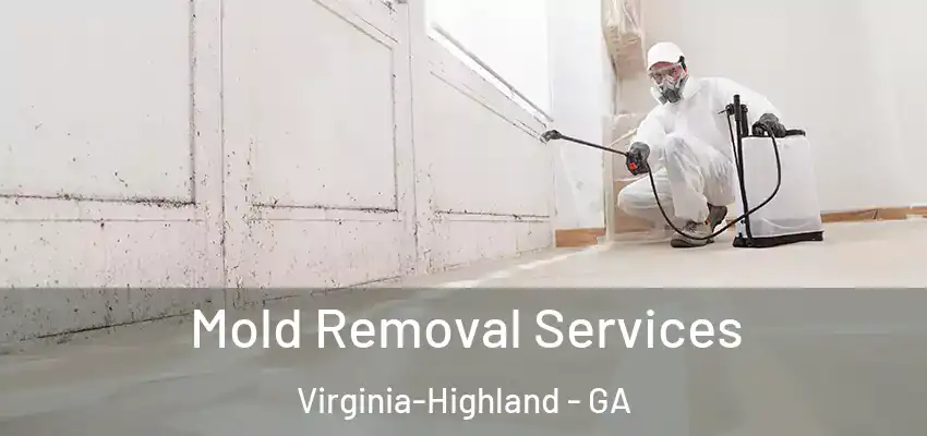 Mold Removal Services Virginia-Highland - GA