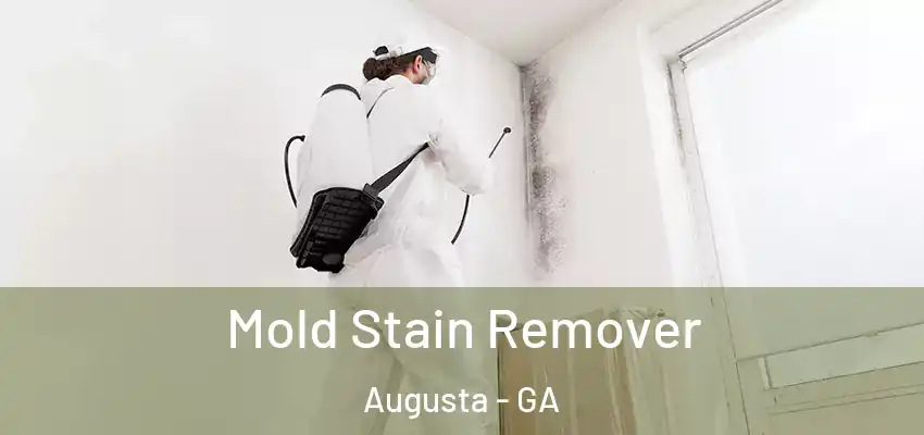 Mold Stain Remover Augusta - GA