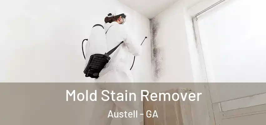 Mold Stain Remover Austell - GA