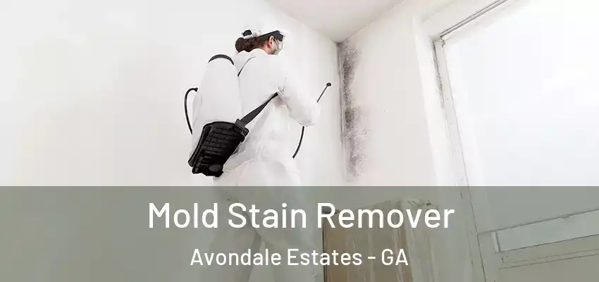 Mold Stain Remover Avondale Estates - GA