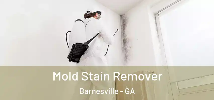 Mold Stain Remover Barnesville - GA