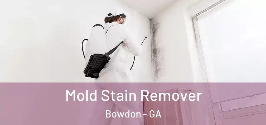 Mold Stain Remover Bowdon - GA
