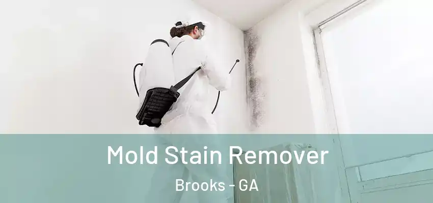 Mold Stain Remover Brooks - GA