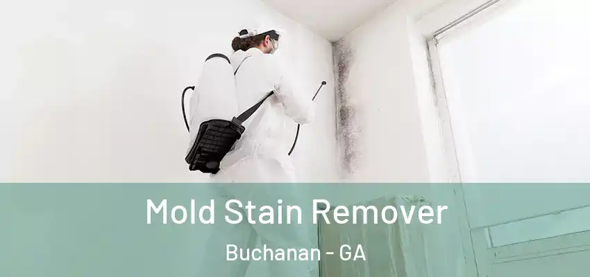 Mold Stain Remover Buchanan - GA