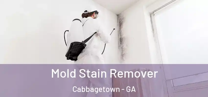 Mold Stain Remover Cabbagetown - GA