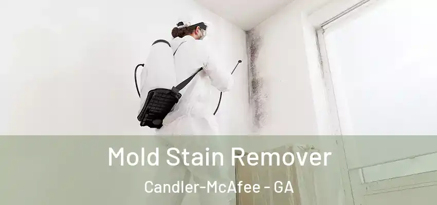 Mold Stain Remover Candler-McAfee - GA