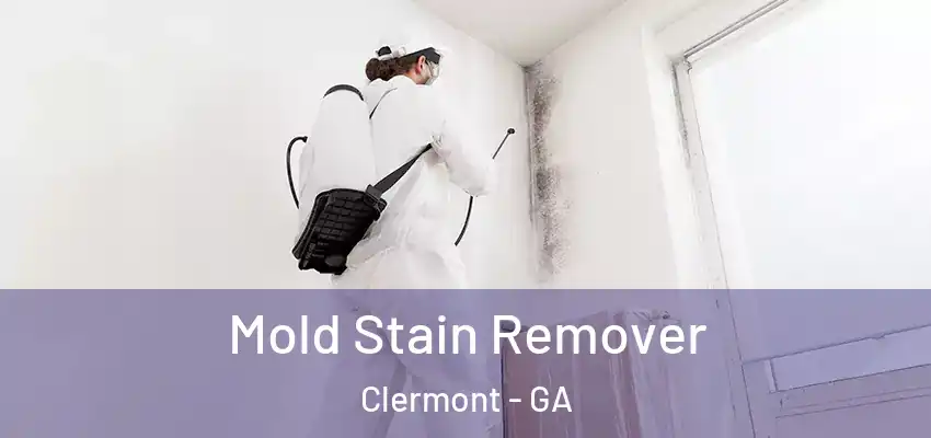 Mold Stain Remover Clermont - GA