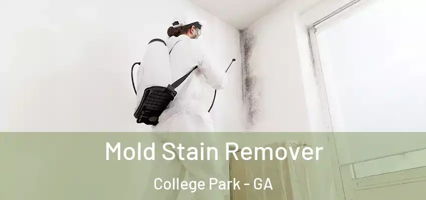 Mold Stain Remover College Park - GA
