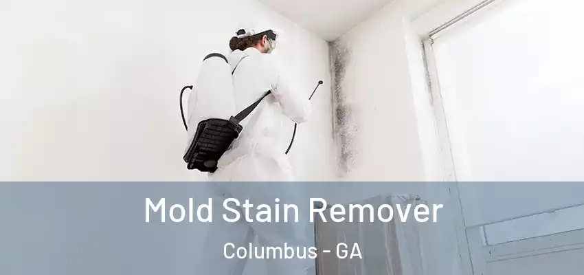 Mold Stain Remover Columbus - GA