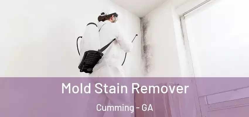 Mold Stain Remover Cumming - GA