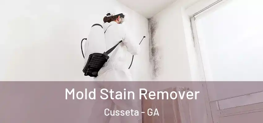 Mold Stain Remover Cusseta - GA