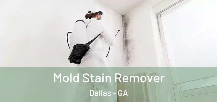 Mold Stain Remover Dallas - GA