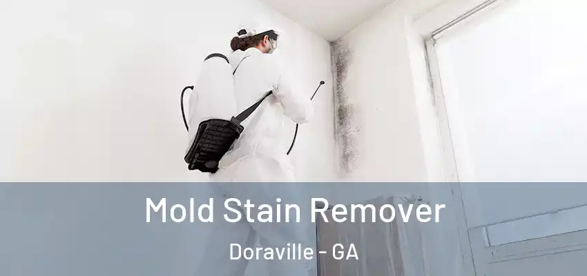 Mold Stain Remover Doraville - GA