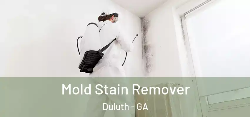 Mold Stain Remover Duluth - GA
