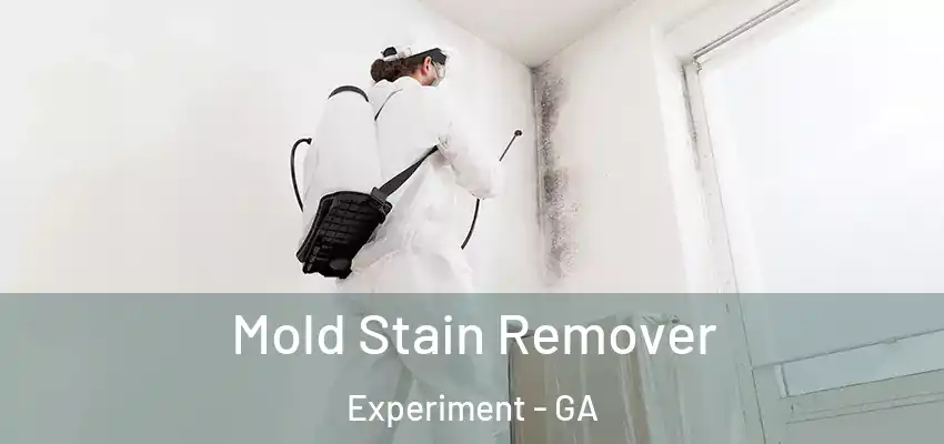  Mold Stain Remover Experiment - GA