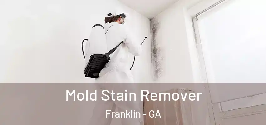 Mold Stain Remover Franklin - GA