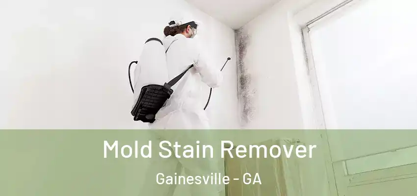 Mold Stain Remover Gainesville - GA