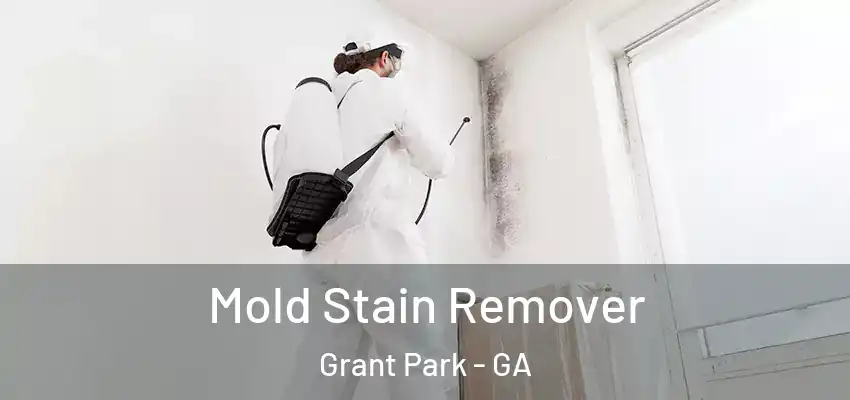 Mold Stain Remover Grant Park - GA